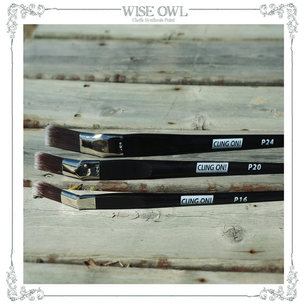 Wise Owl Cling On P16