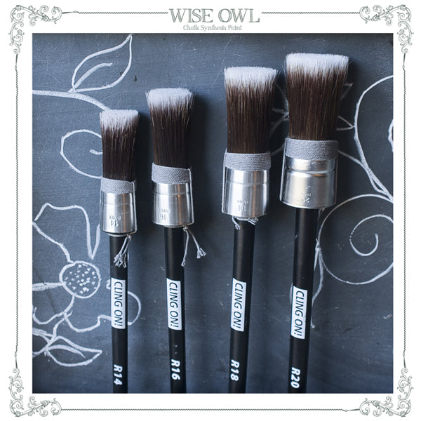 Wise Owl Cling On R20